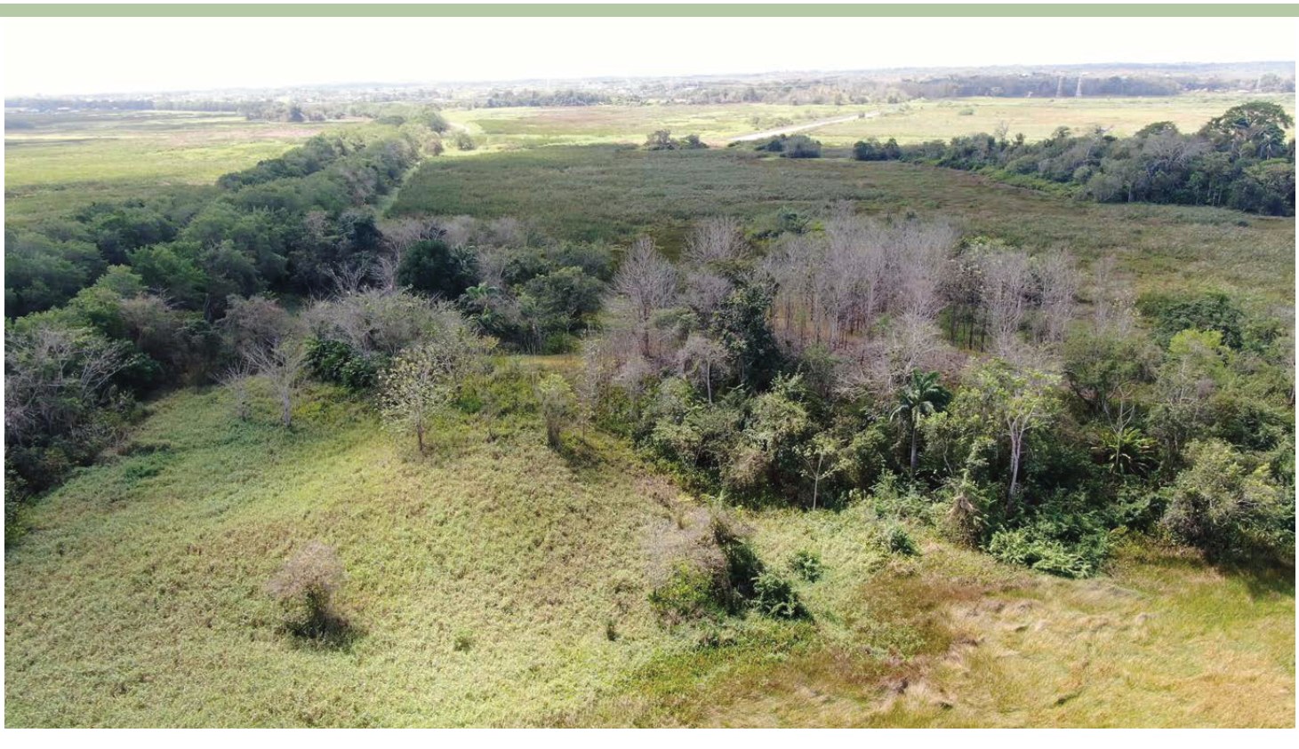 Green country terrain